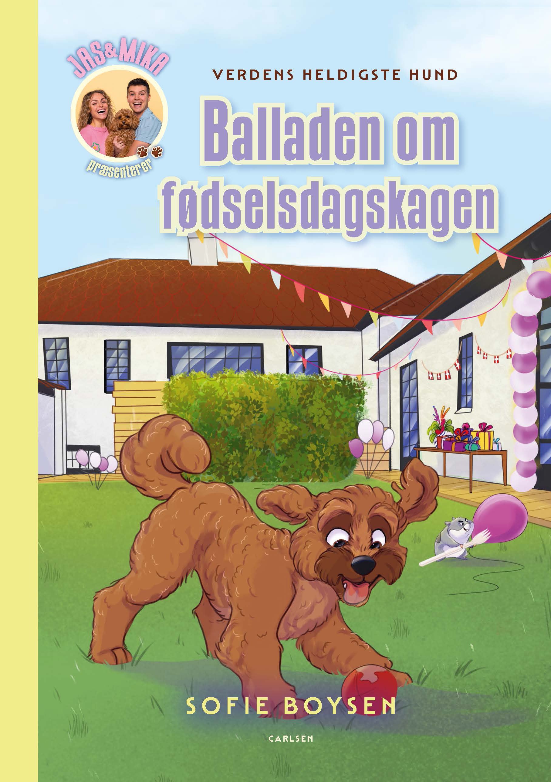 Forside billede